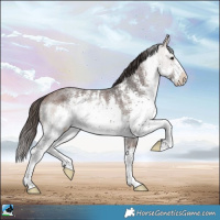 Horse Color:White Spotted Bay Ice Sabino Rabicano 