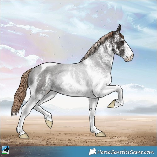 Horse Color:White Spotted Liver Chestnut Tobiano Rabicano