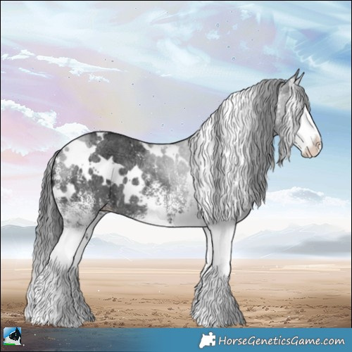 Horse Color:White Spotted Black Ice Splash Rabicano 