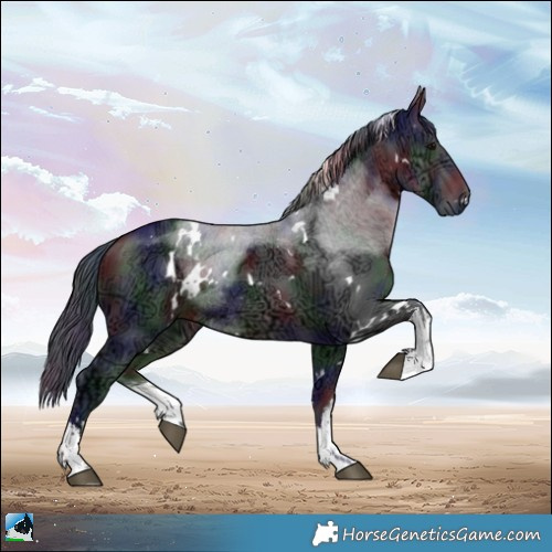 Horse Color:Nacre White Spotted Brown Ice Rabicano 