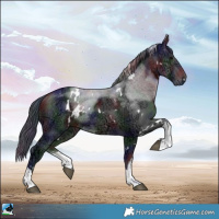 Horse Color:Nacre White Spotted Brown Ice Rabicano