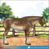 Horse Color:Chocolate Palomino Mushroom Sabino Rabicano