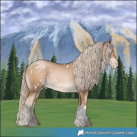 Horse Color:White Spotted Chocolate Palomino Pearl Tobiano