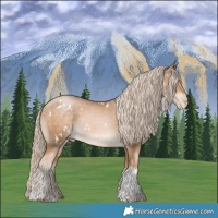 Horse Color:White Spotted Chocolate Palomino Pearl Tobiano