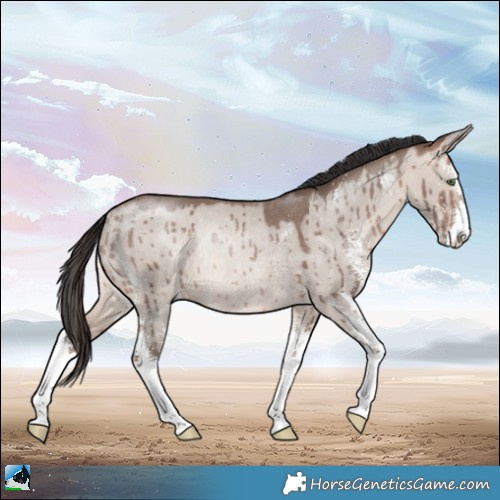 Horse Color:Sable Champagne Dun Mushroom Sabino Rabicano Brindle 