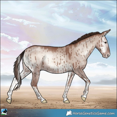 Horse Color:Classic Champagne Onyx Mushroom Rabicano Brindle 