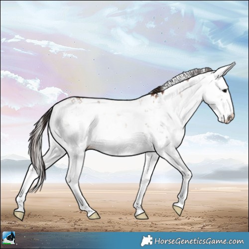 Horse Color:Classic Champagne Onyx Mushroom Sabino Brindle 