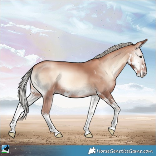 Horse Color:Gold Champagne Onyx Mushroom Sabino 