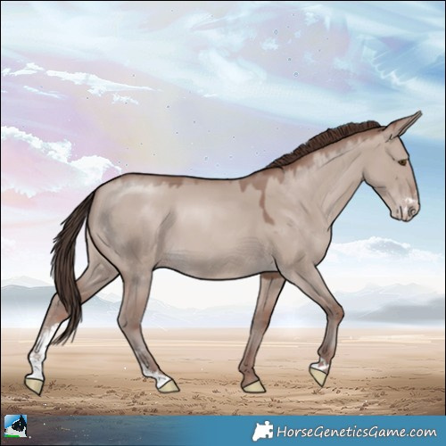 Horse Color:Classic Champagne Dun Mushroom Sabino 