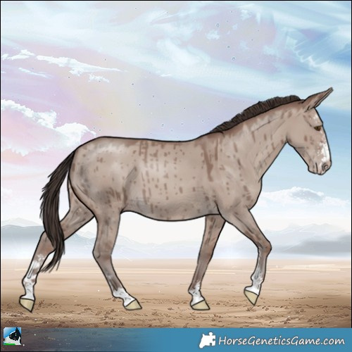 Horse Color:Classic Champagne Dun Mushroom Sabino Brindle 
