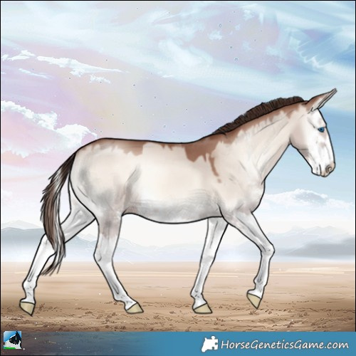Horse Color:Classic Champagne Onyx Mushroom Sabino Splash 