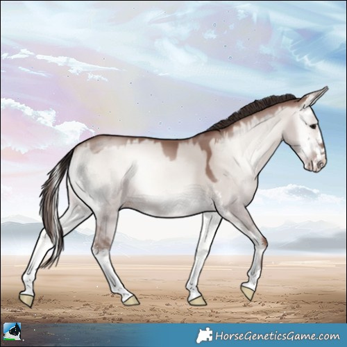 Horse Color:Classic Champagne Onyx Mushroom Sabino 