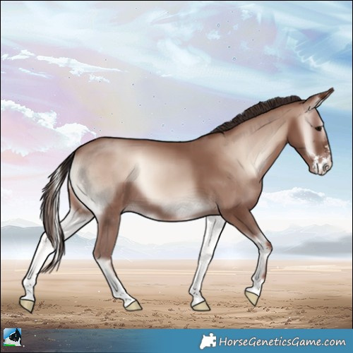 Horse Color:Classic Champagne Onyx Mushroom Sabino 