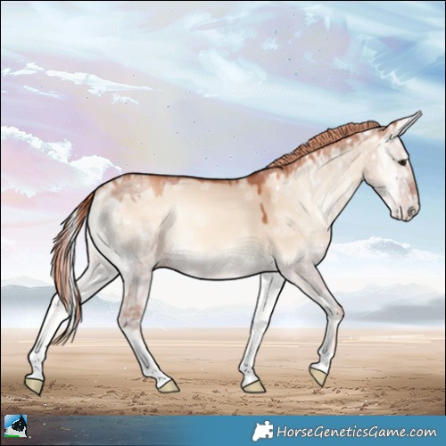 Horse Color:Gold Champagne Ice Onyx Rabicano 