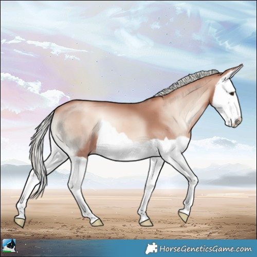 Horse Color:Gold Champagne Onyx Mushroom Splash 