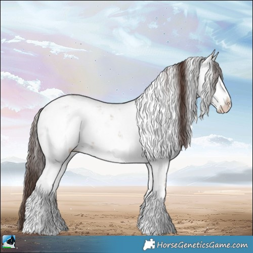 Horse Color:Classic Champagne Dun Mushroom Sabino 