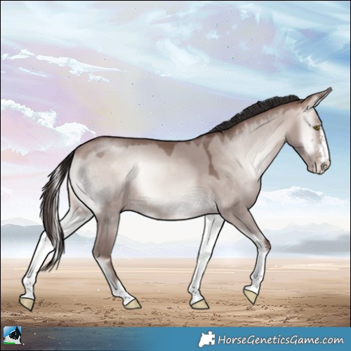 Horse Color:Sable Champagne Onyx Mushroom Sabino Rabicano 