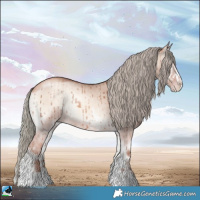 Horse Color:Gold Champagne Onyx Mushroom Sabino Rabicano Brindle