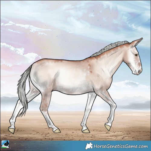 Horse Color:Gold Champagne Onyx Mushroom Sabino Rabicano 