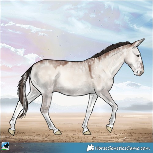 Horse Color:Classic Champagne Ice Onyx Mushroom Sabino 