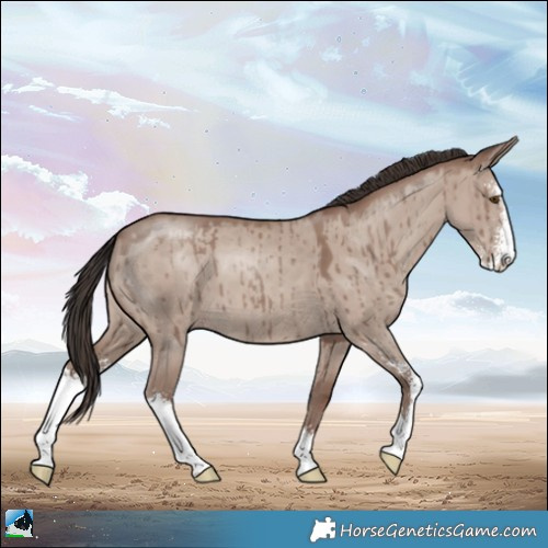 Horse Color:Classic Champagne Dun Mushroom Sabino Brindle 