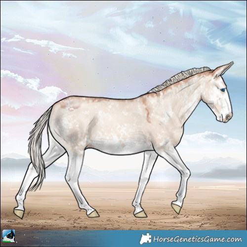 Horse Color:Gold Champagne Dun Mushroom Sabino Splash 