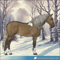 Horse Color:Silver Buckskin Dun Tobiano 