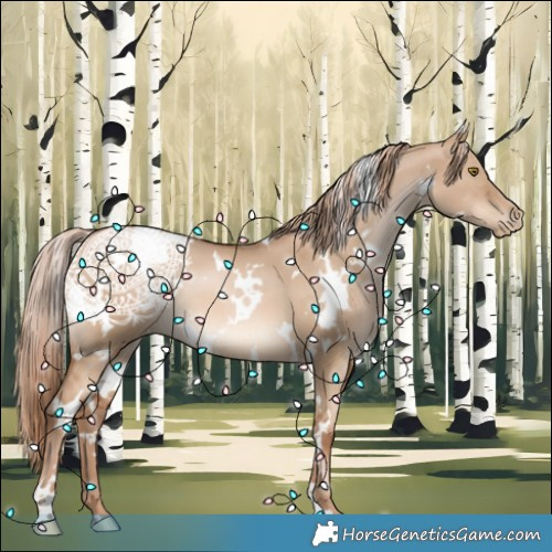 Horse Color:White Spotted Liver Red Dun Pearl 