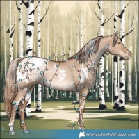 Horse Color:White Spotted Liver Red Dun Pearl