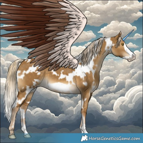 Horse Color:White Spotted Chocolate Palomino Dun Frame 