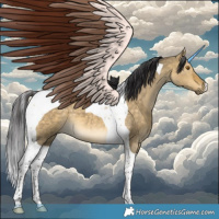 Horse Color:Buckskin Dun Tobiano