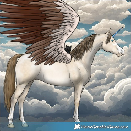 Horse Color:Buckskin Pearl Dun 