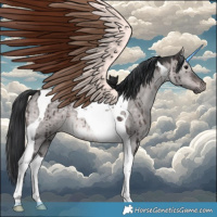 Horse Color:Platinum Brown Dun Tobiano Brindle