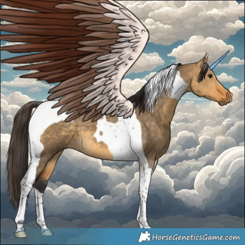 Horse Color:Buckskin Dun Tobiano 