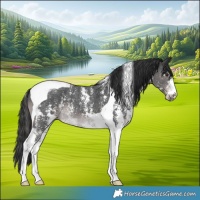 Horse Color:Platinum Liver Chestnut Sabino Tobiano
