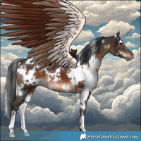 Horse Color:White Spotted Brown Mushroom