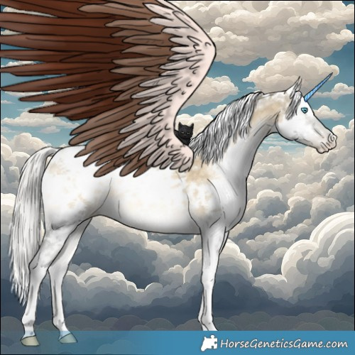 Horse Color:White Spotted Chocolate Silver Buckskin Pearl Onyx Mushroom Sabino Rabicano 