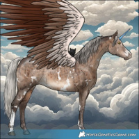 Horse Color:White Spotted Silver Brown Dun Sabino Rabicano Brindle