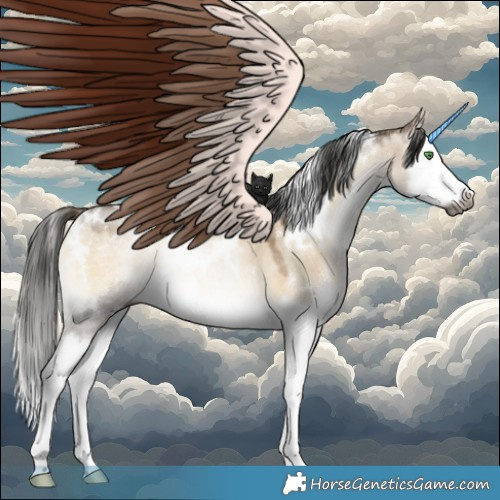 Horse Color:Gray White Spotted Smoky Grullo Pearl Onyx Sabino Splash Rabicano 