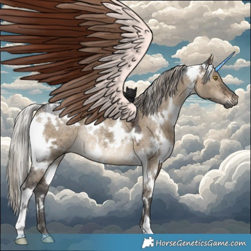 Horse Color:Gray White Spotted Silver Brown Ice Dun Rabicano 