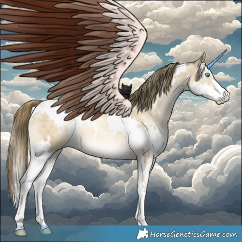 Horse Color:White Spotted Buckskin Pearl Dun Mushroom Sabino 