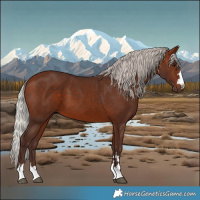 Horse Color:Silver Bay 