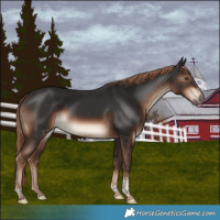 Horse Color:Liver Chestnut Tobiano Rabicano