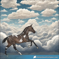 Horse Color:White Spotted Brown Dun 