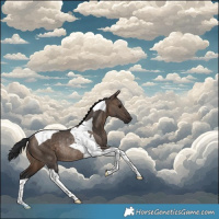 Horse Color:Brown Dun Tobiano Rabicano