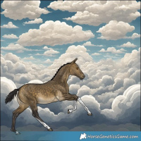 Horse Color:Buckskin Dun Tobiano 