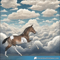 Horse Color:Brown Dun Tobiano 