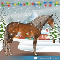 Horse Color:White Spotted Chocolate Palomino Sabino 