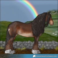 Horse Color:Liver Chestnut Tobiano 