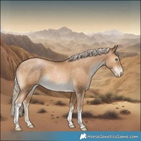 Horse Color:Chocolate Palomino Pearl Sabino Tobiano Rabicano